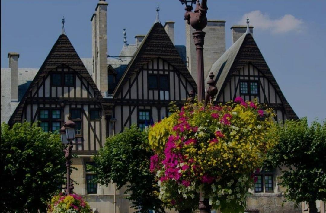La Place Des Sacres, Proche Gare Et Centre ランス エクステリア 写真